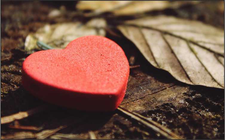 „SOS – POMOC RODZINIE” – od 12.01.2026