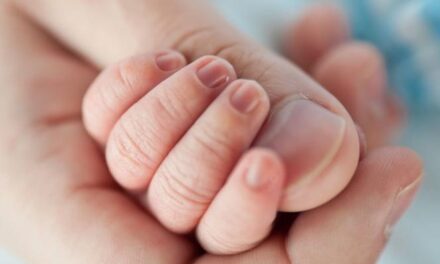 Spotkanie w temacie płodności – 18.12.2025 r. godz. 11.00